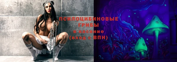 ПСИЛОЦИБИНОВЫЕ ГРИБЫ Алексеевка