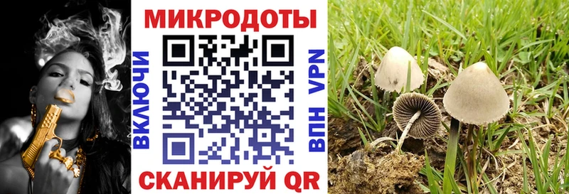 продажа наркотиков  Пермь  Галлюциногенные грибы прущие грибы 