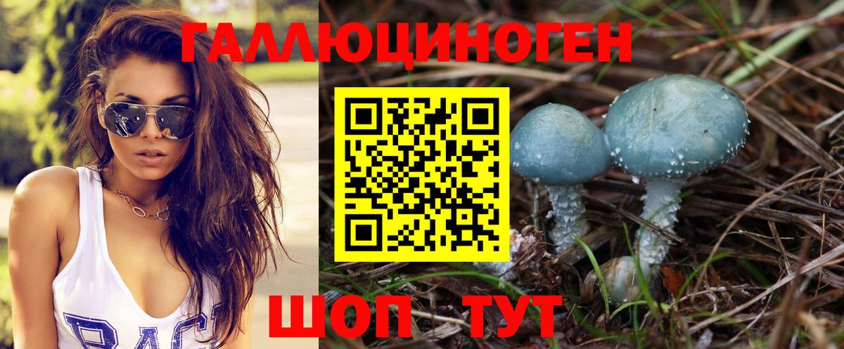 Галлюциногенные грибы Cubensis Пермь
