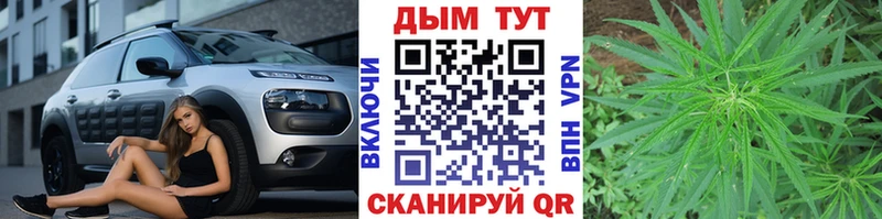 как найти   Пермь  Канабис сатива 